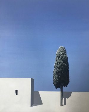 Cypariss no 1 – Acrylic on Canvas (80×100 cm)